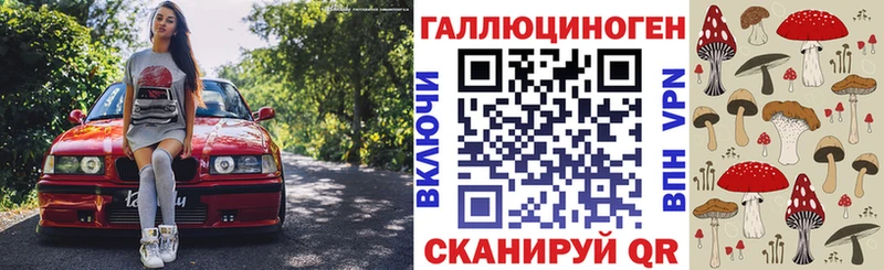хочу   Ленинск  Галлюциногенные грибы Cubensis 